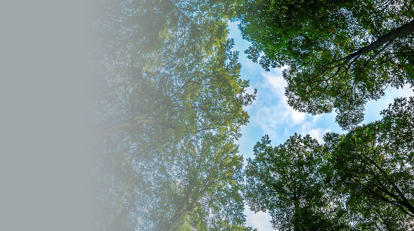 Image without alt